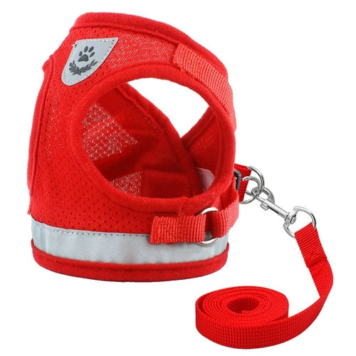 Harness for Chihuahua Pug - BestyPaws