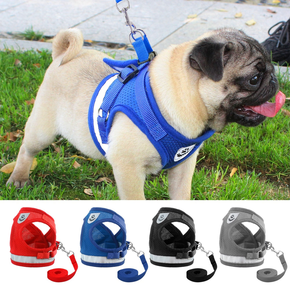 Harness for Chihuahua Pug - BestyPaws