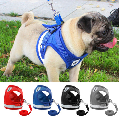 Harness for Chihuahua Pug - BestyPaws