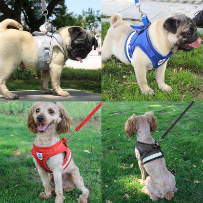 Harness for Chihuahua Pug - BestyPaws