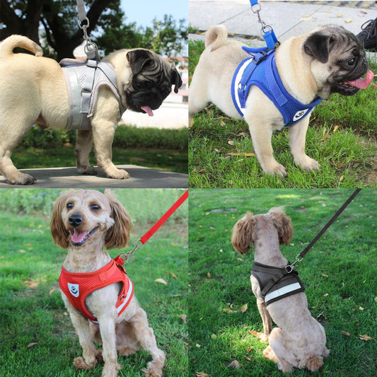 Harness for Chihuahua Pug - BestyPaws