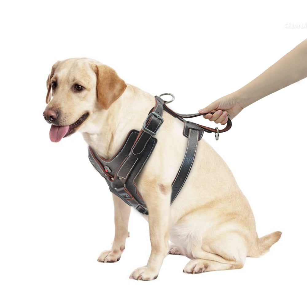 Durable Dog Harness