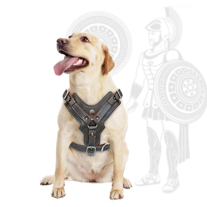 Durable Dog Harness