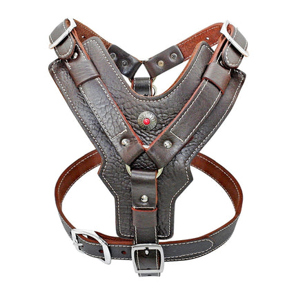 Durable Dog Harness