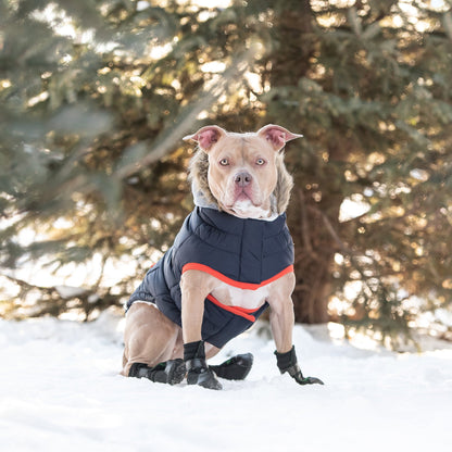 Winter Sailor Parka - Navy - BestyPaws