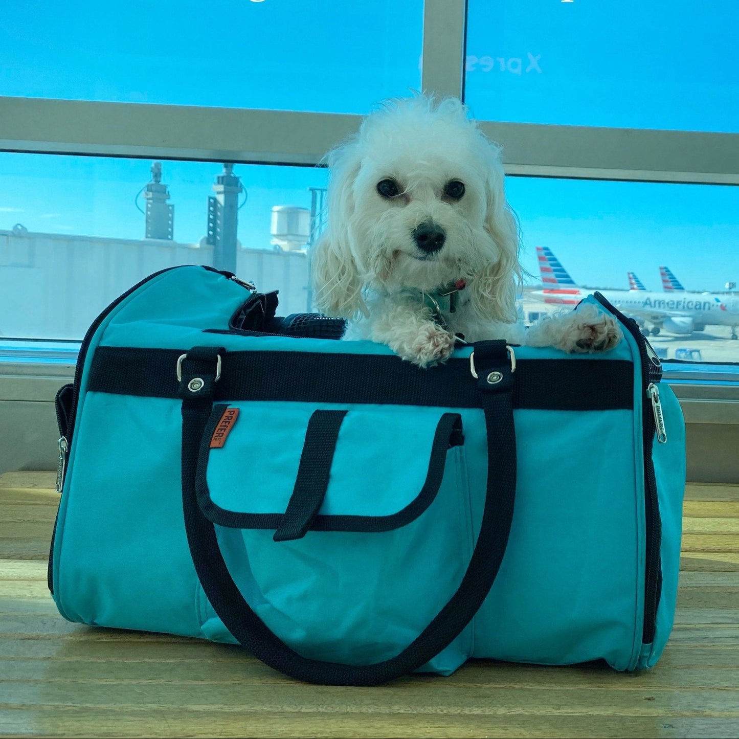 312 Hideaway™ Duffel - BestyPaws