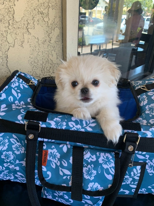 312 Hideaway™ Duffel - BestyPaws