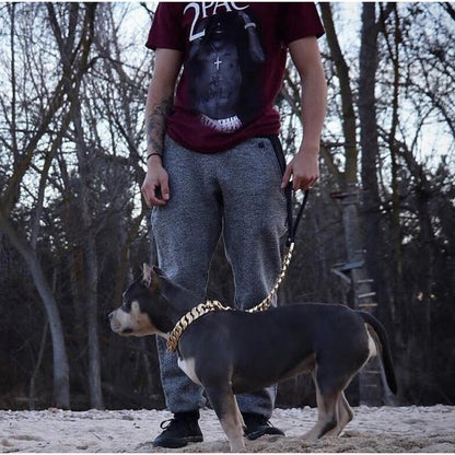 Kilo Cuban Link Chain - BestyPaws