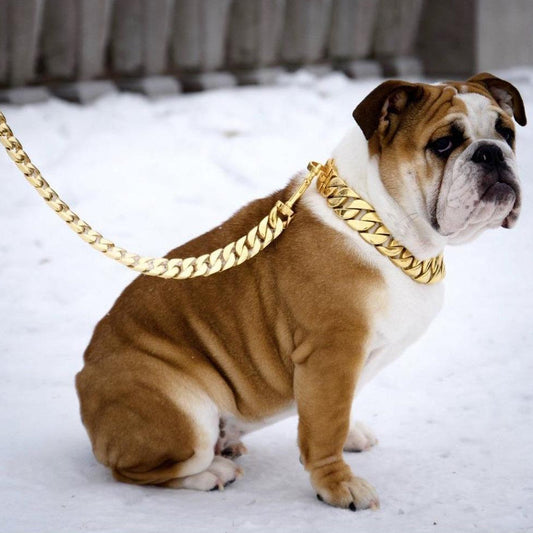 Kilo Cuban Link Chain - BestyPaws
