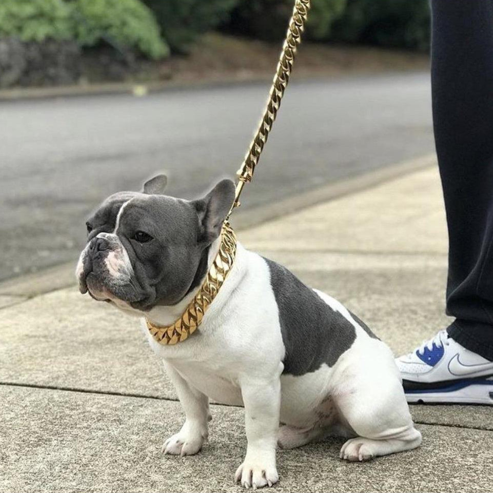 Kilo Cuban Link Chain - BestyPaws