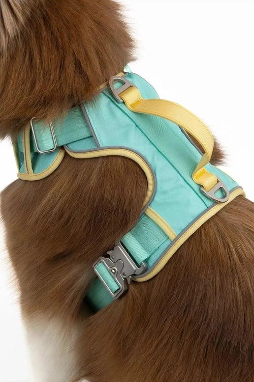 Ultimate Designer Dog Harness - BestyPaws