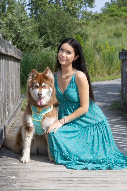 Ultimate Designer Dog Harness - BestyPaws