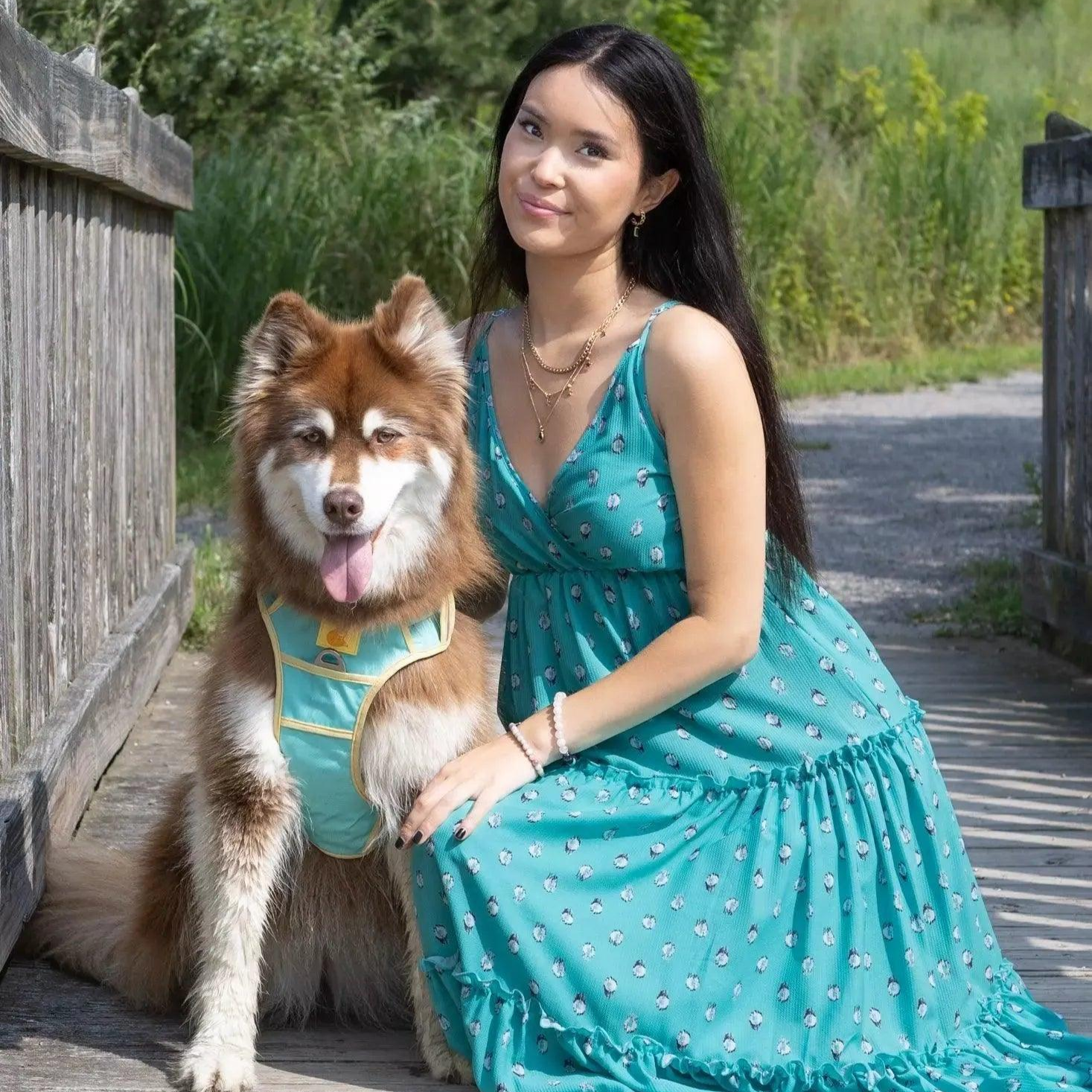 Ultimate Designer Dog Harness - BestyPaws