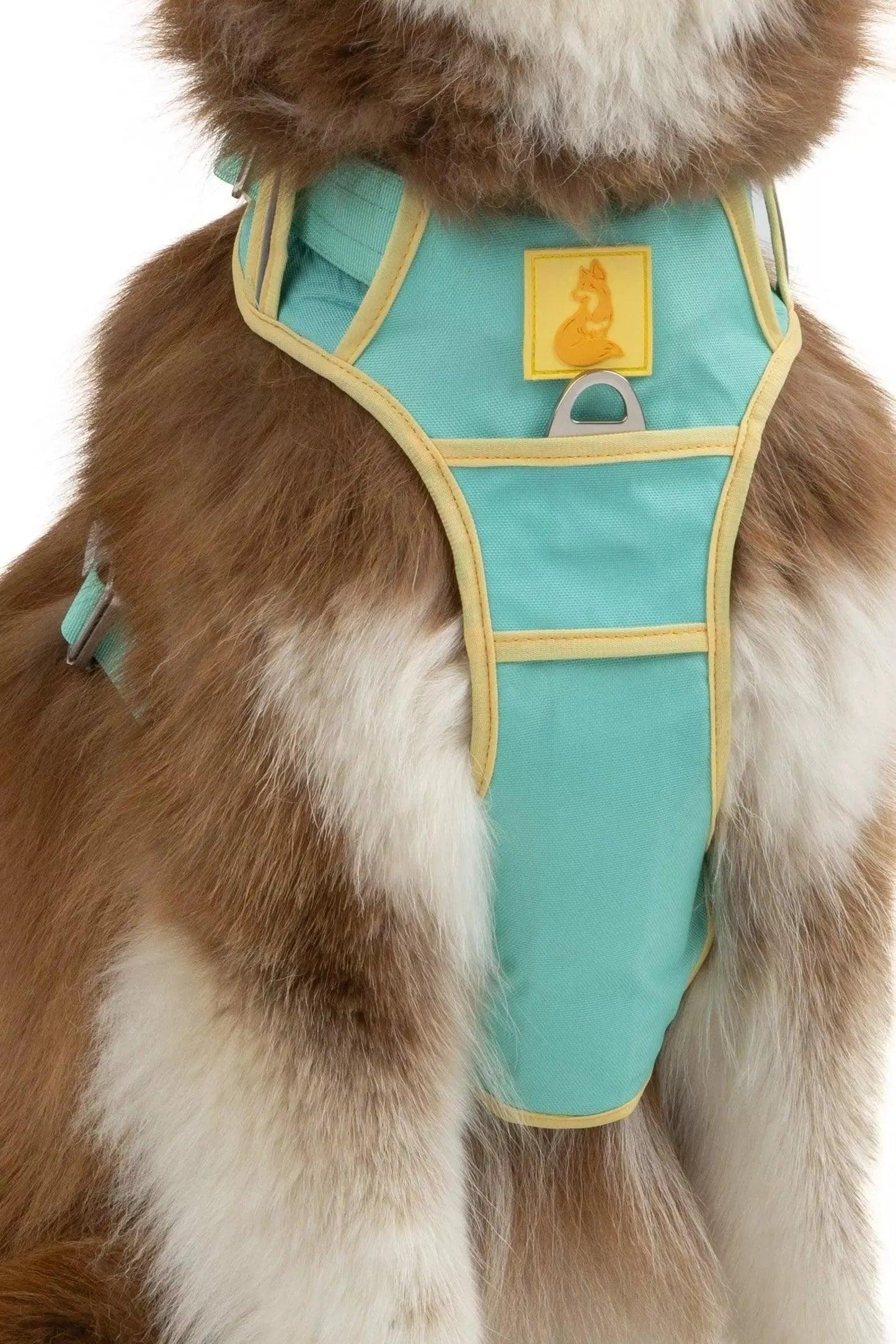 Ultimate Designer Dog Harness - BestyPaws