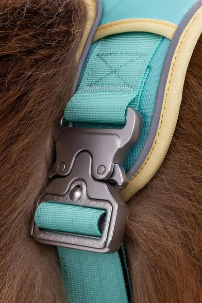 Ultimate Designer Dog Harness - BestyPaws