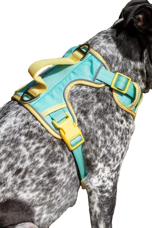 Ultimate Designer Dog Harness - BestyPaws