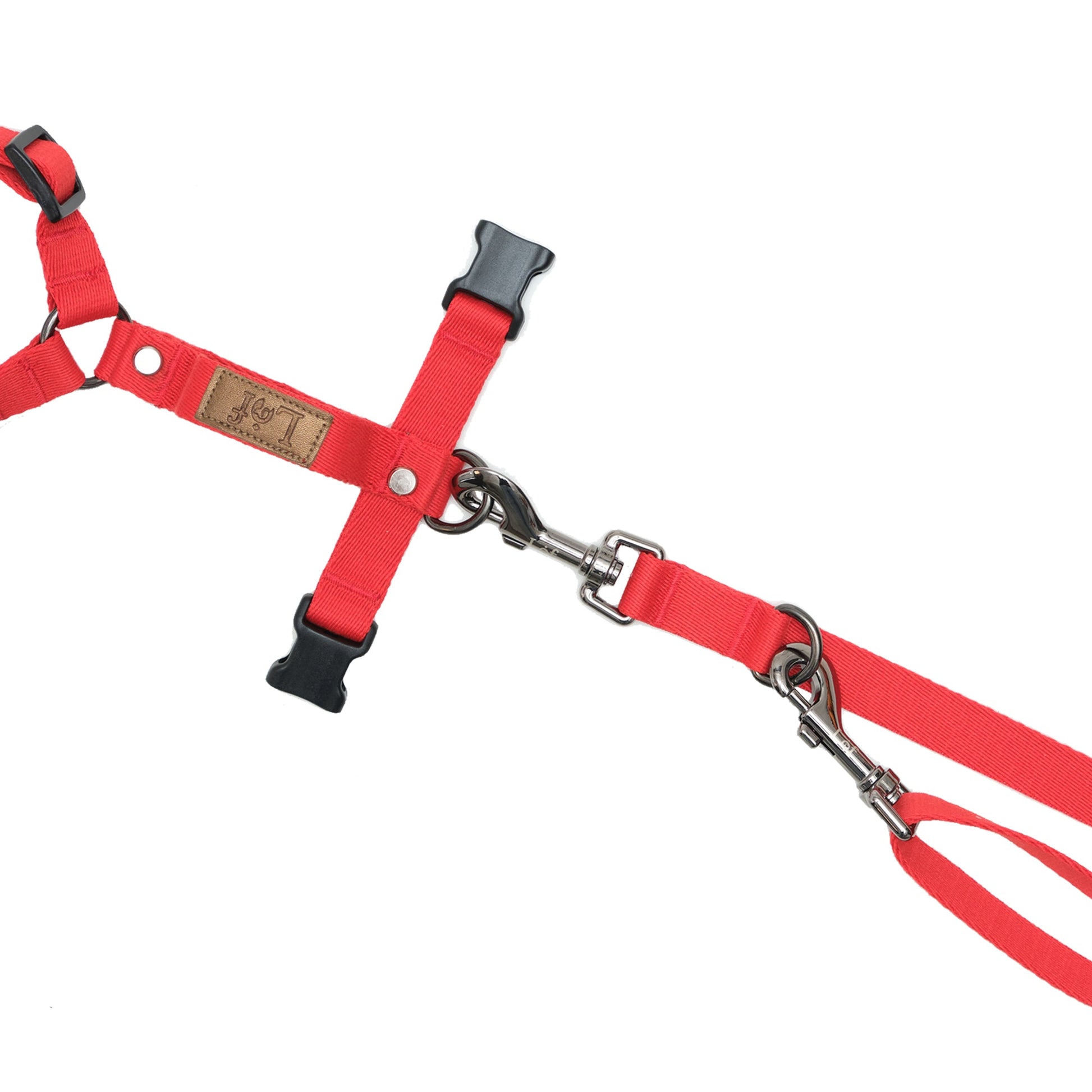 Lof Folding Lead Leash - BestyPaws