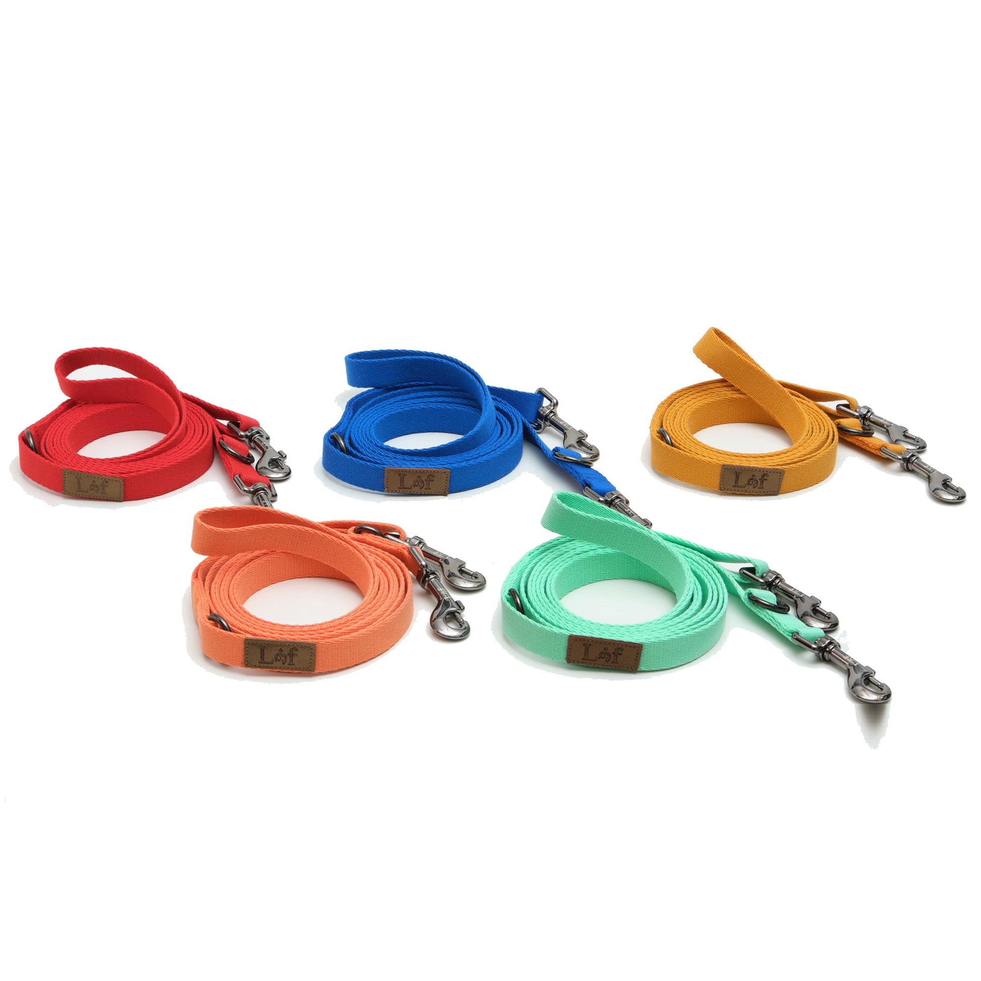 Lof Folding Lead Leash - BestyPaws