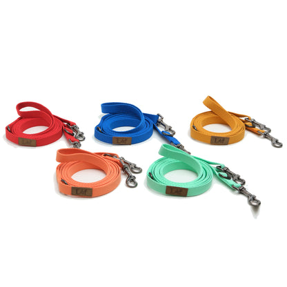 Lof Folding Lead Leash - BestyPaws