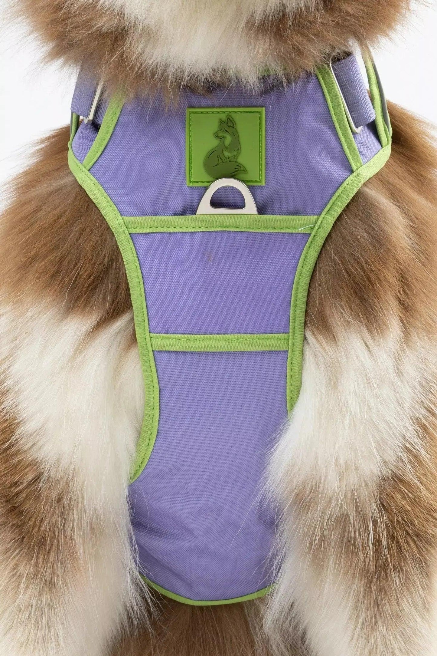 Ultimate Designer Dog Harness - BestyPaws