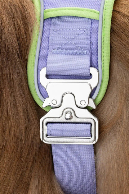 Ultimate Designer Dog Harness - BestyPaws