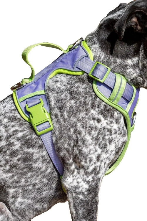 Ultimate Designer Dog Harness - BestyPaws