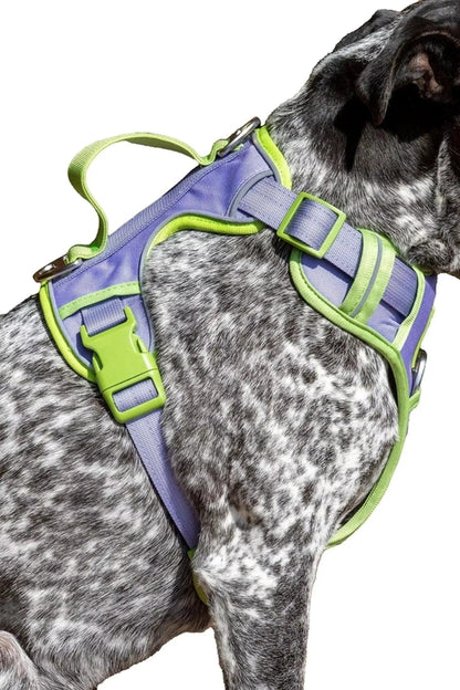 Ultimate Designer Dog Harness - BestyPaws