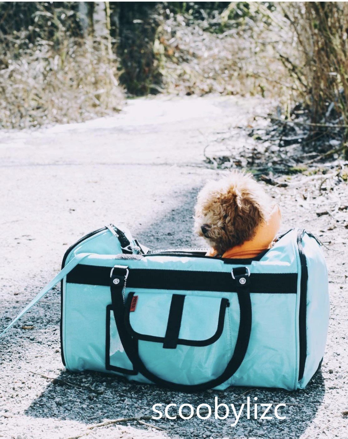 312 Hideaway™ Duffel - BestyPaws