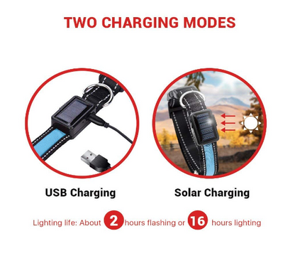 Solar Charge Reflective Led Collar - BestyPaws