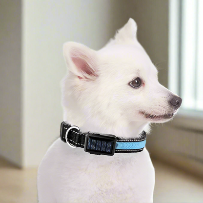 Solar Charge Reflective Led Collar - BestyPaws