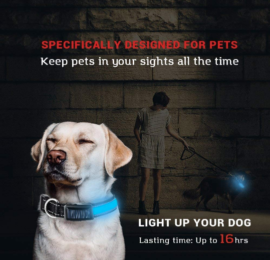 Solar Charge Reflective Led Collar - BestyPaws