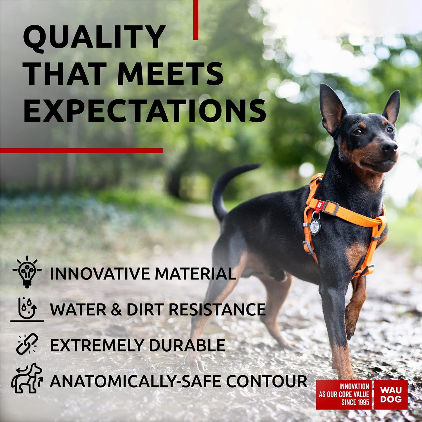 Waterproof Dog HarnesS - BestyPaws