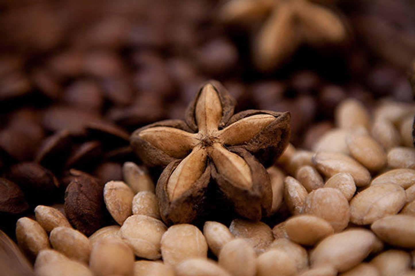 Daily Greens Glow Multi-Vitamin Meal Topper