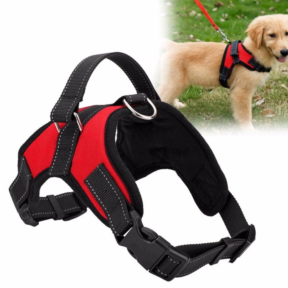 Adjustable Pet Harness - BestyPaws