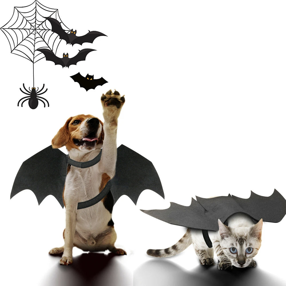 Pet Bat Wings Costume - BestyPaws