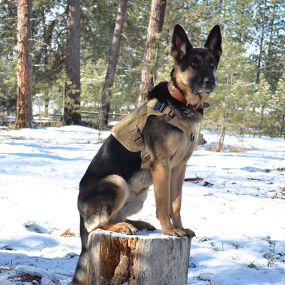 Military Dog Tactical Harness - BestyPaws