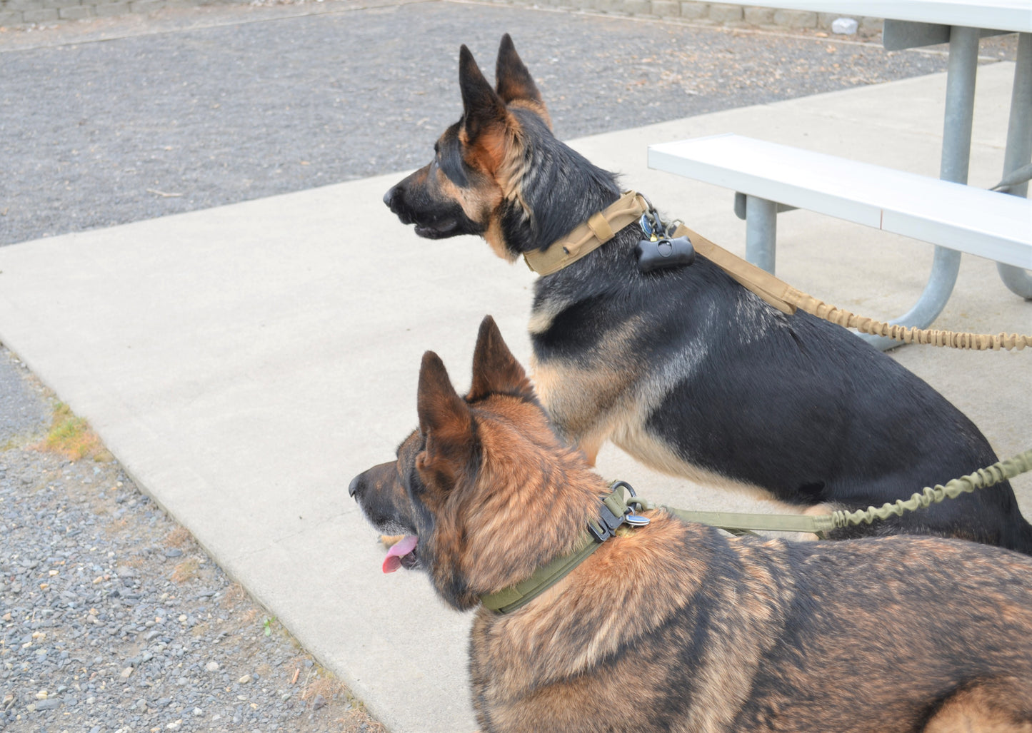 Military Dog Tactical Harness - BestyPaws