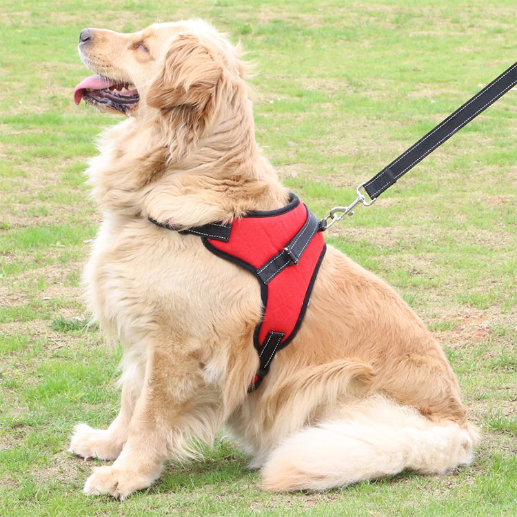 Adjustable Pet Harness - BestyPaws