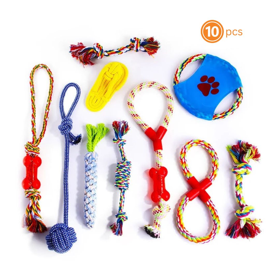 10 Pcs Assorted Braided Chew Toys - BestyPaws