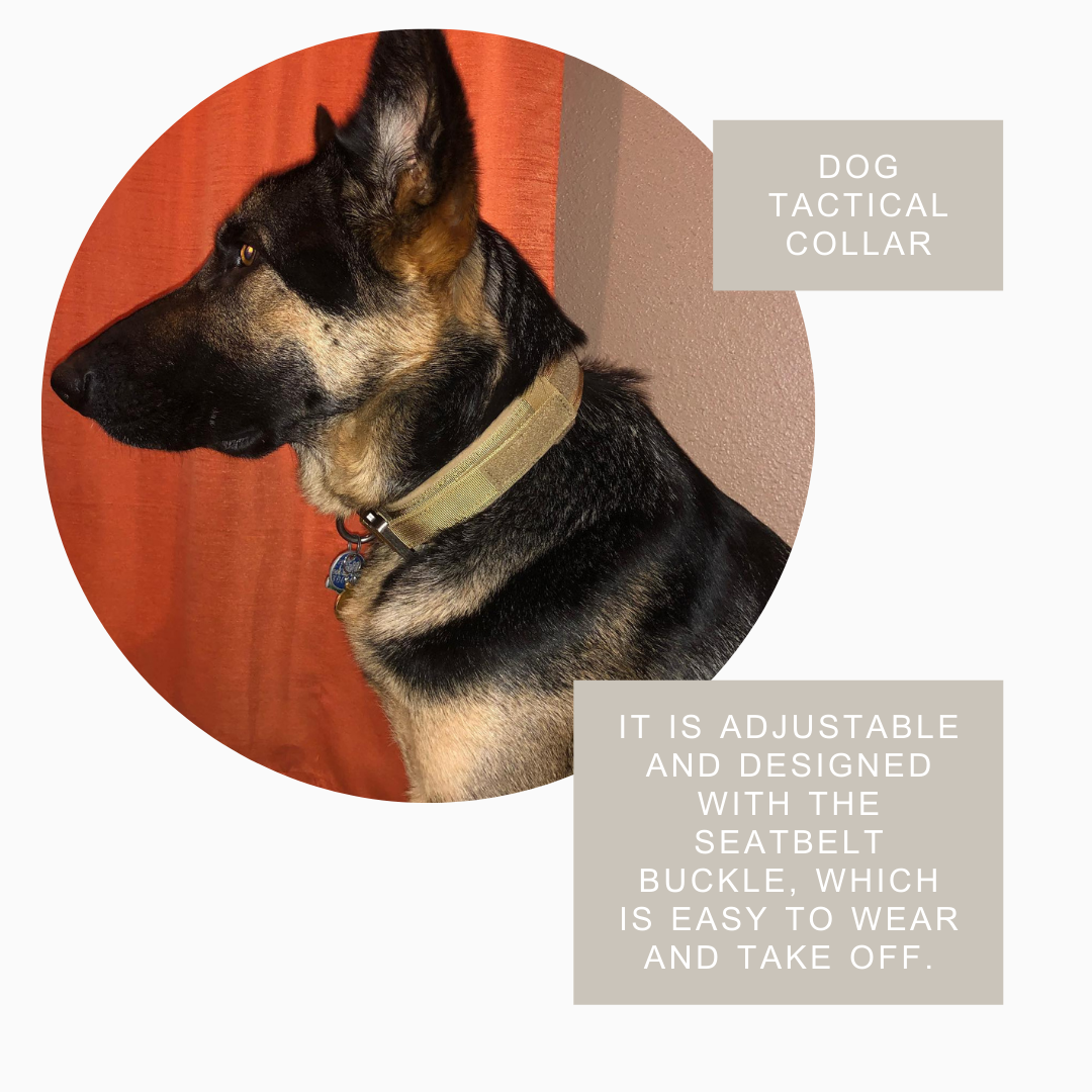 Durable Military Tactical Collar - BestyPaws