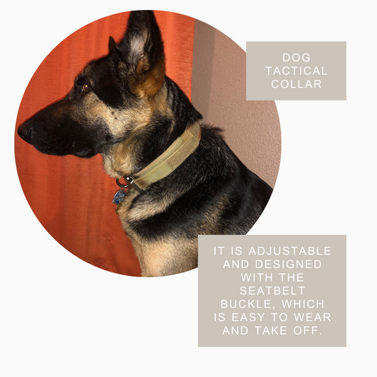 Durable Military Tactical Collar - BestyPaws