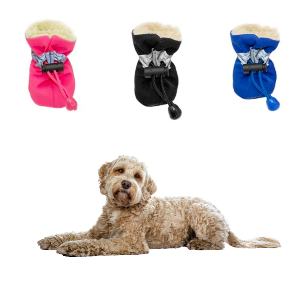 Dogs Winter Warm Shoes - BestyPaws