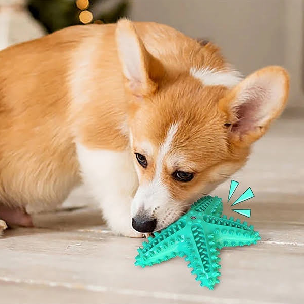 3 Pack Pet Squeaky Toothbrush - BestyPaws