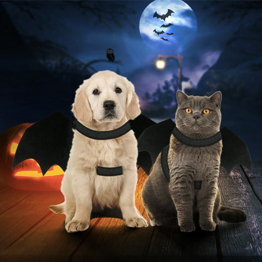 Pet Bat Wings Costume - BestyPaws