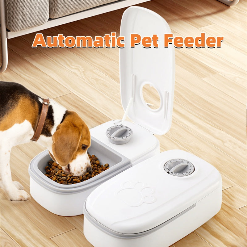 Smart Food Dispenser - BestyPaws