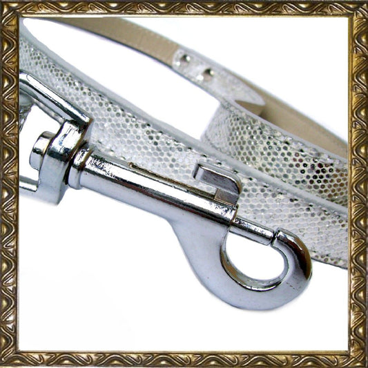 Disco Fever Dog Leads - BestyPaws