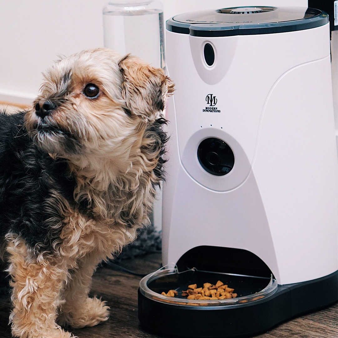 WiFi Pet Feeder - BestyPaws