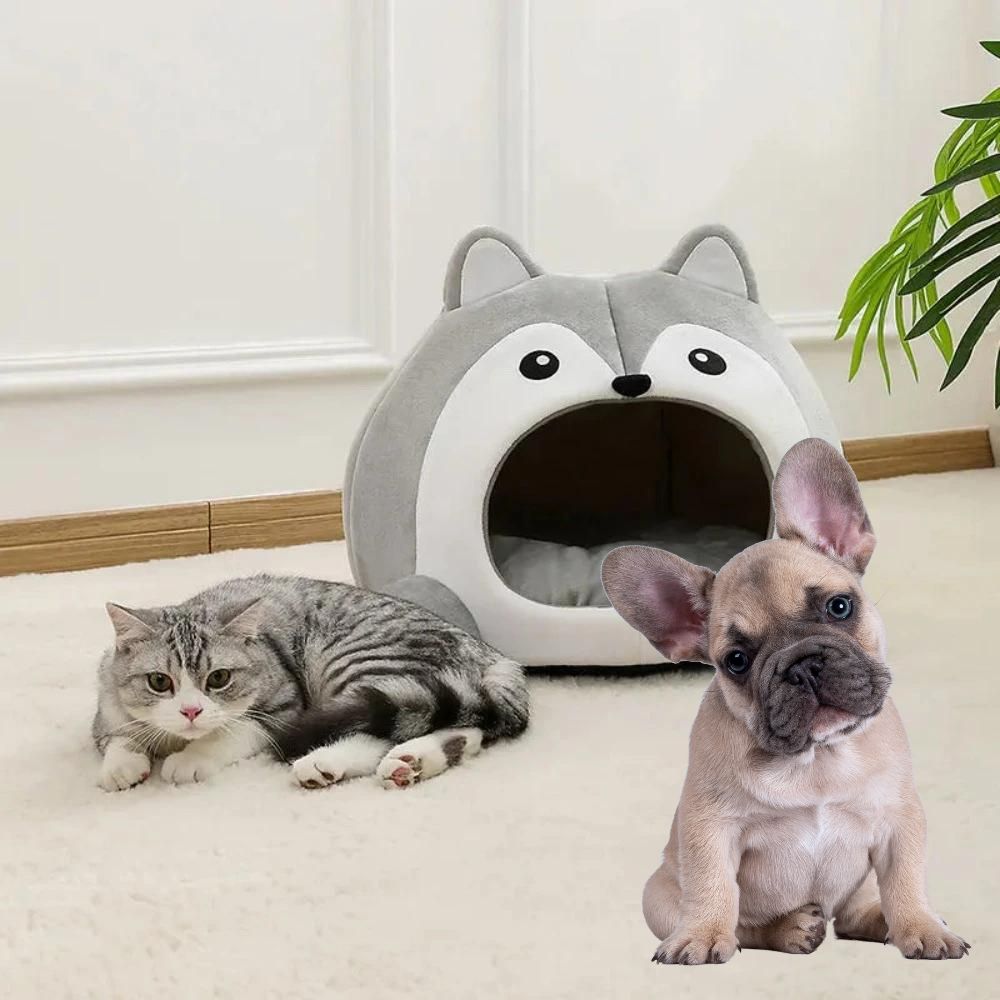 Cartoon Fox Theme Pet House - BestyPaws