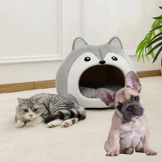 Cartoon Fox Theme Pet House - BestyPaws