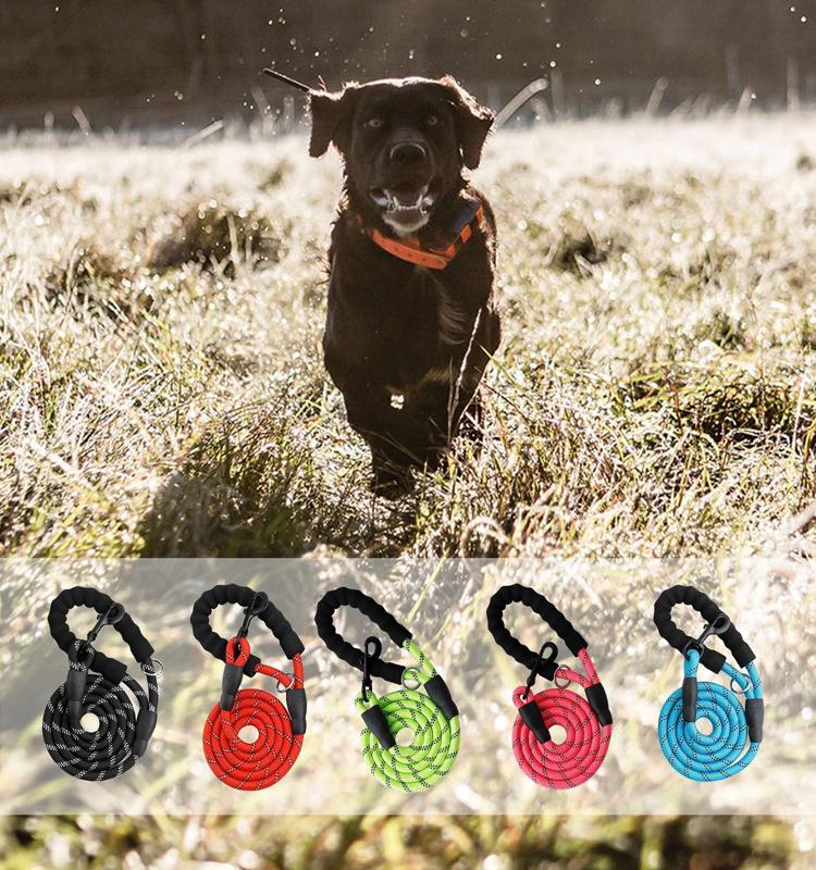 Padded Handle and Reflective Threads - BestyPaws